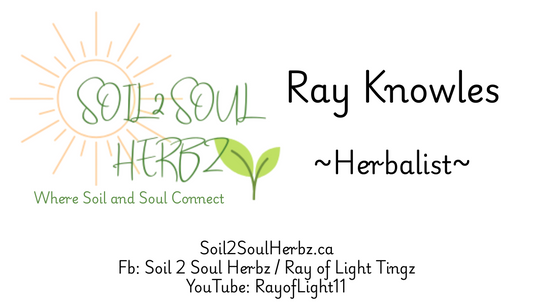 What is Herbalism — and What Does an Herbalist Do?