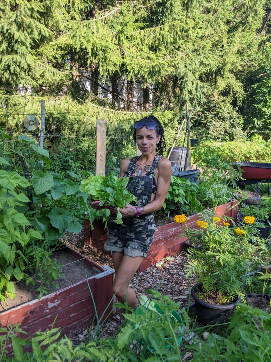 🌻 Garden Wisdom: Tips for Growing a Lush, Soulful Garden